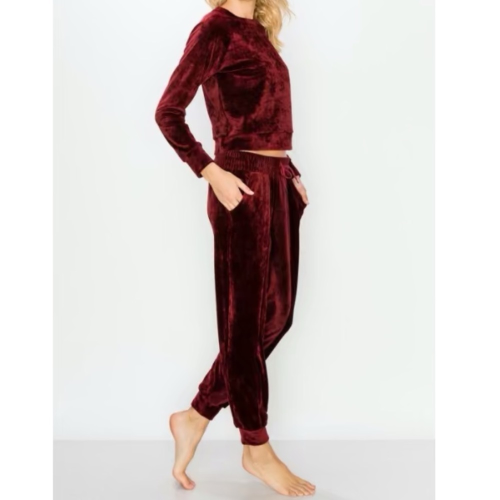 NWT Velour Lounge Set - Ultra cozy!